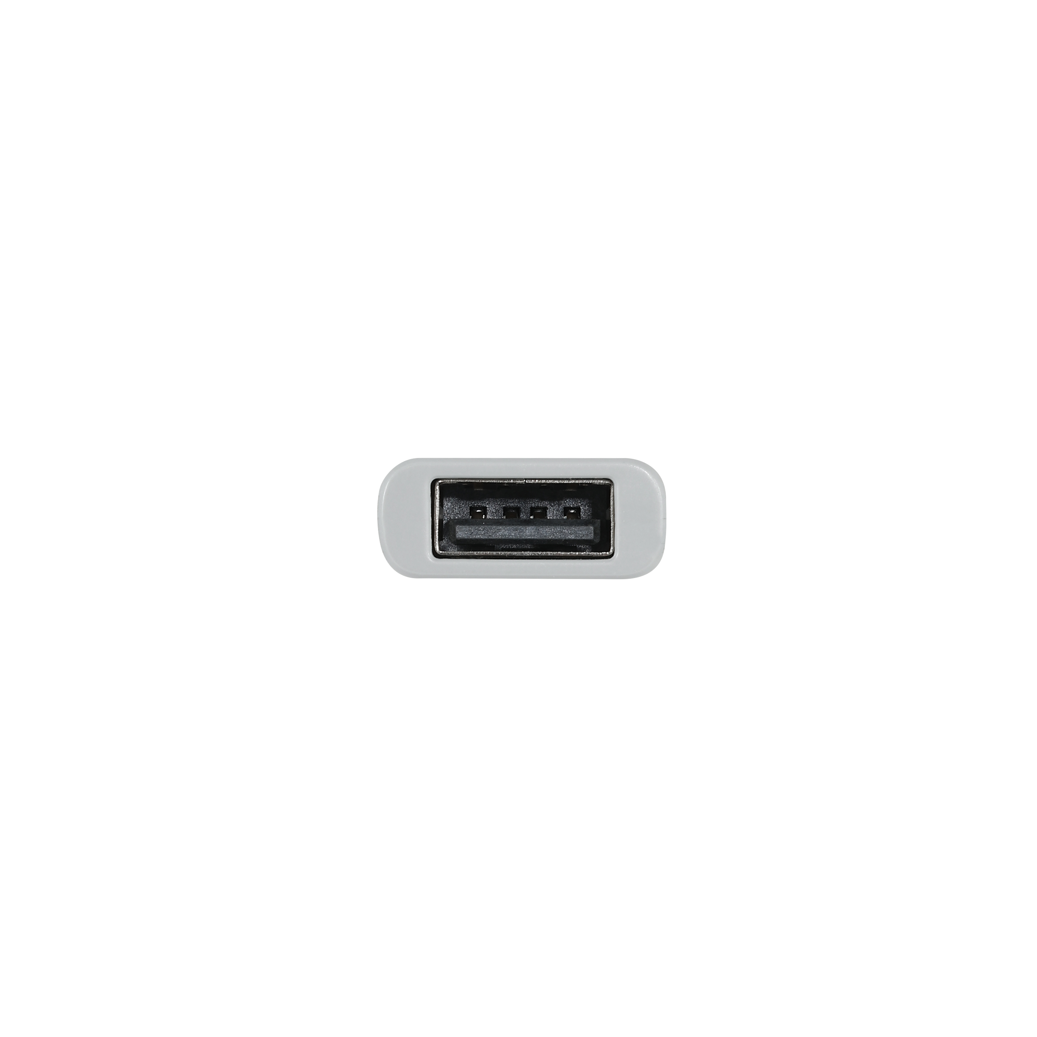 Adattatore per controller wire - Pc Gaming Xbox recensione e prezzo